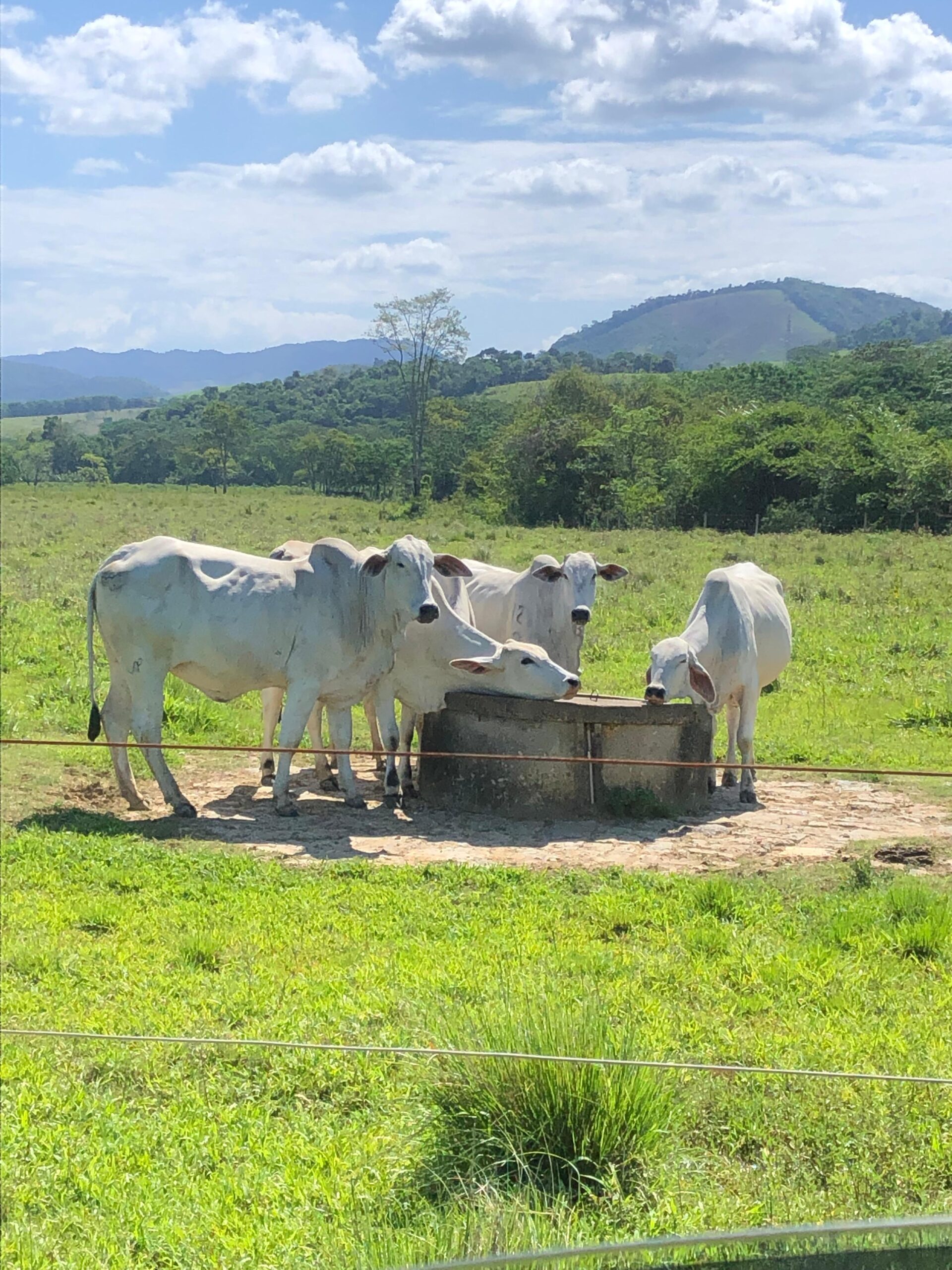 WhatsApp Image 2025-11-18 at 20.52.26